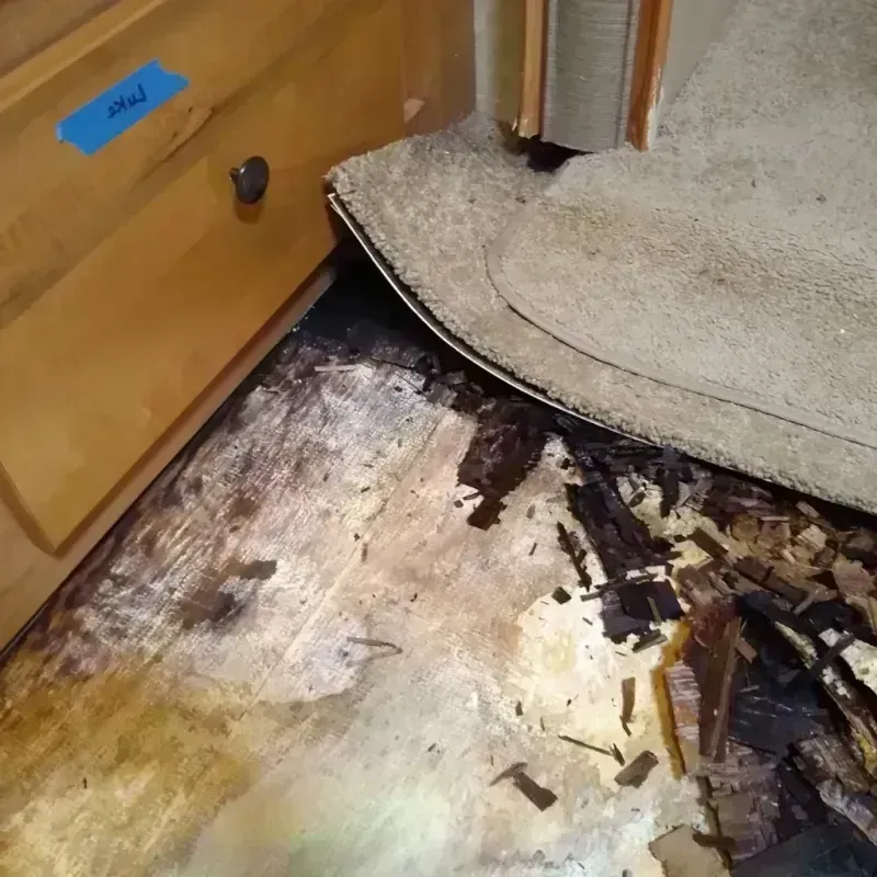 Wood Floor Water Damage in Highland Park, NJ